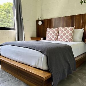 Habitación Doble Estándar